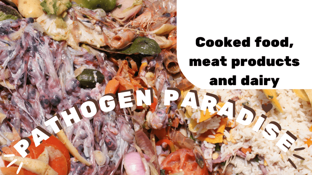 Pathogen paradise - cooked food, meat and dairy in compost