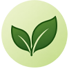 Leaf icon